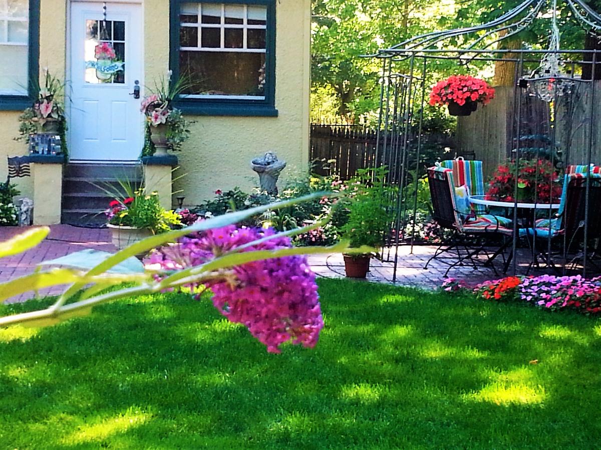 Festive West Bed & BreakFest - thumb 21