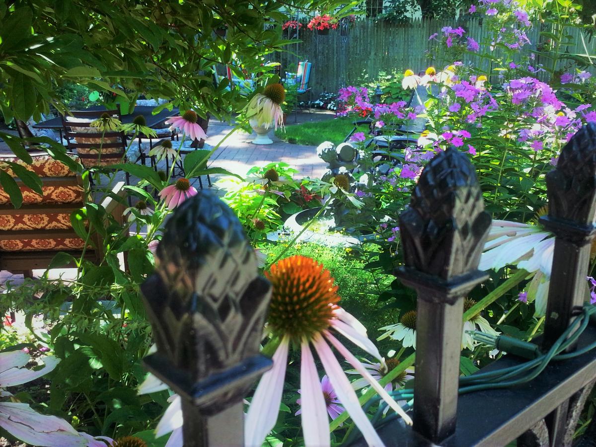 Festive West Bed & BreakFest - thumb 19