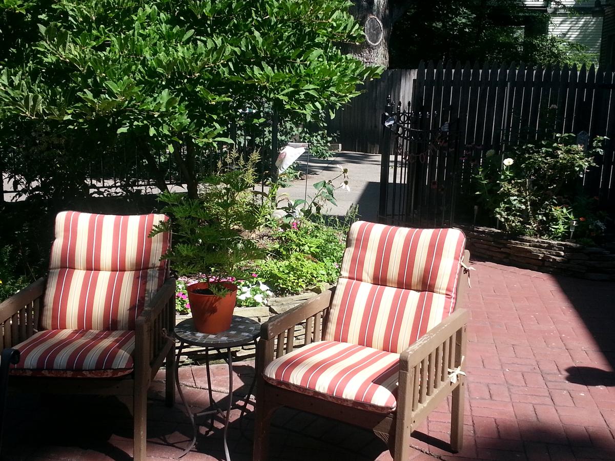 Festive West Bed & BreakFest - thumb 24