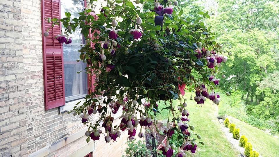 Union Hill Inn Bed And Breakfast - thumb 19