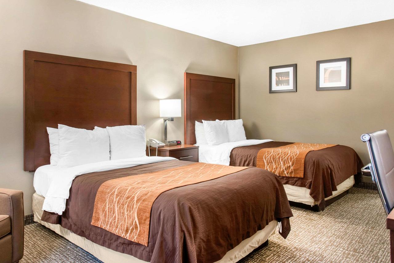 Comfort Inn MSP Airport - Mall Of America - thumb 18