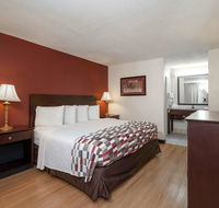 Red Roof Inn Gulfport - Biloxi Airport - Accommodation Los Angeles