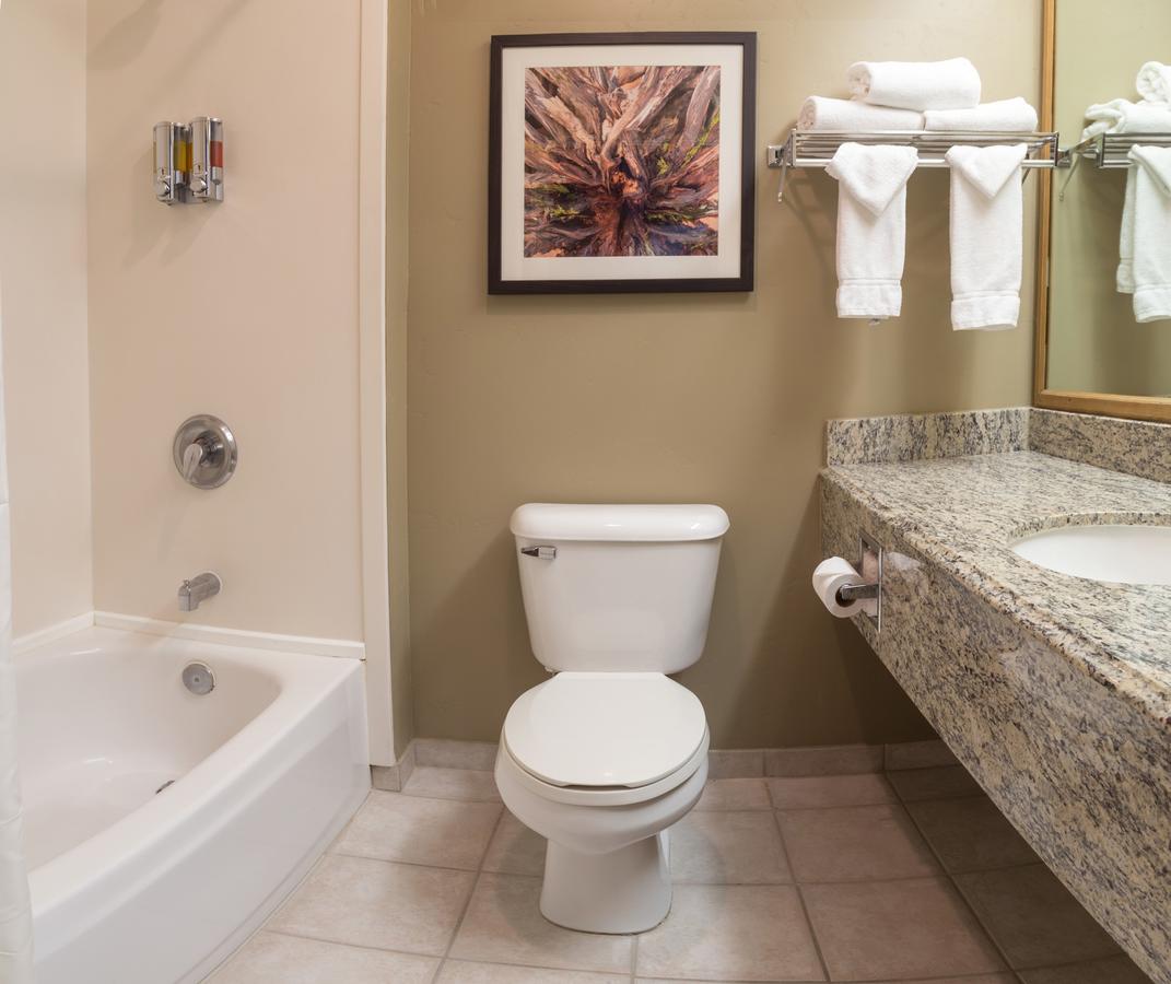 Gray Wolf Inn & Suites - thumb 33