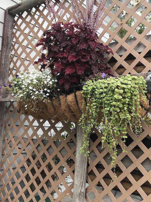 Swan River Inn - Residence Inn Location - thumb 6