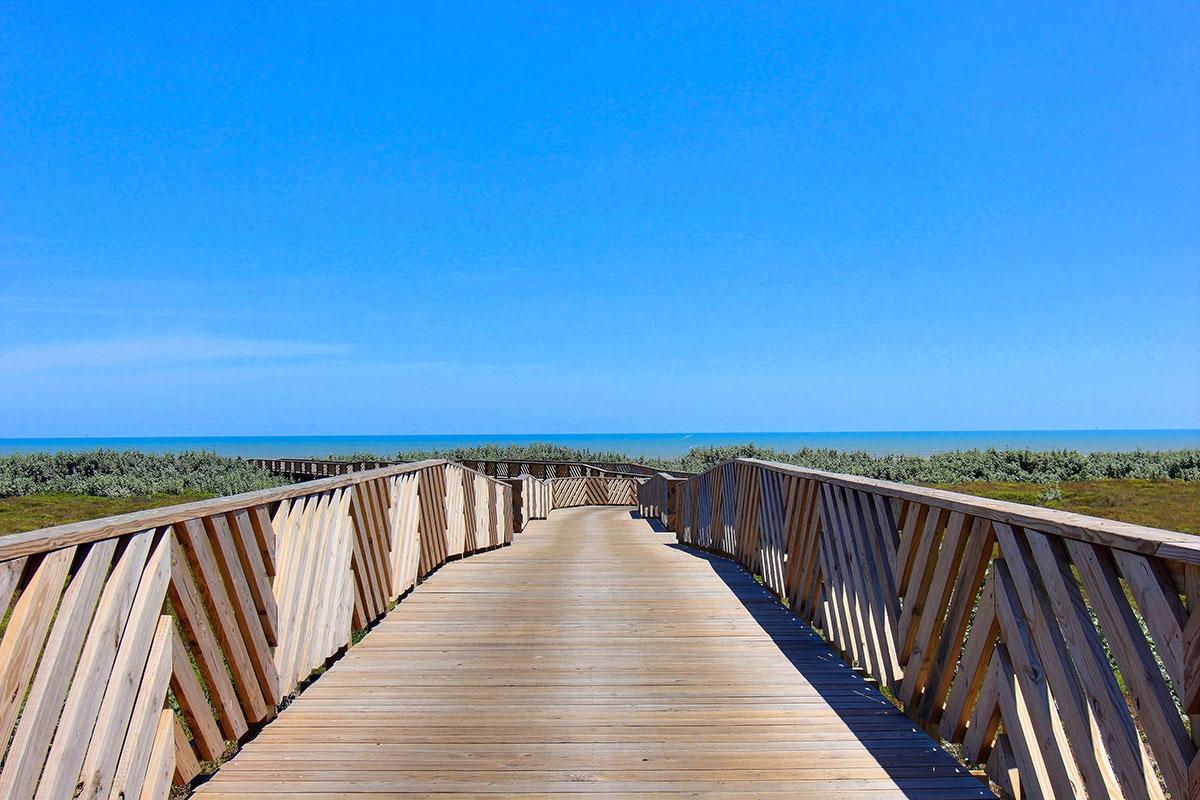 Sea Rocket Holiday Home 120 - thumb 9