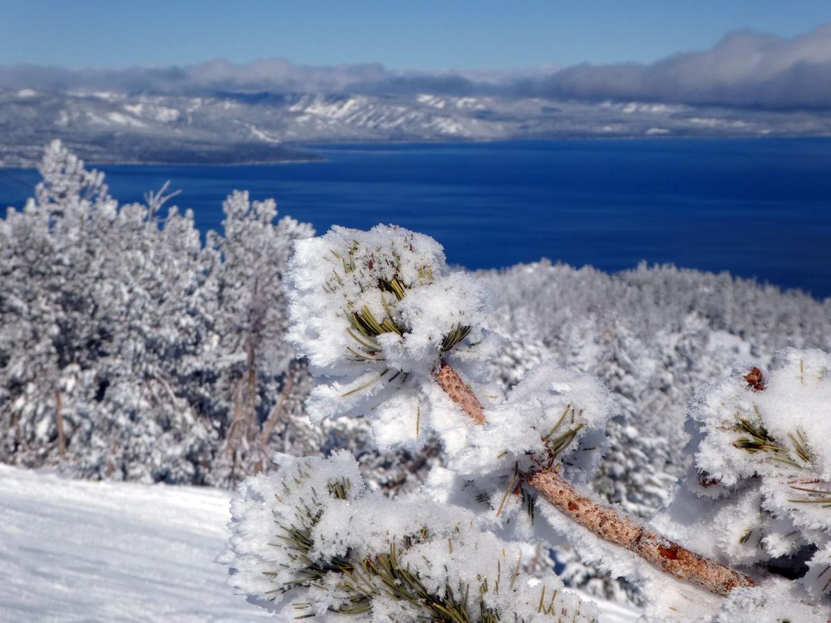 Lakeside Inn And Casino - thumb 7