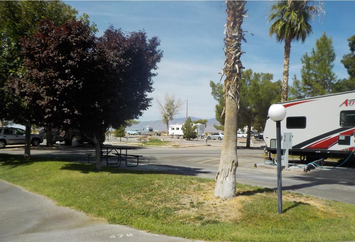 Pahrump Station RV Park - thumb 6