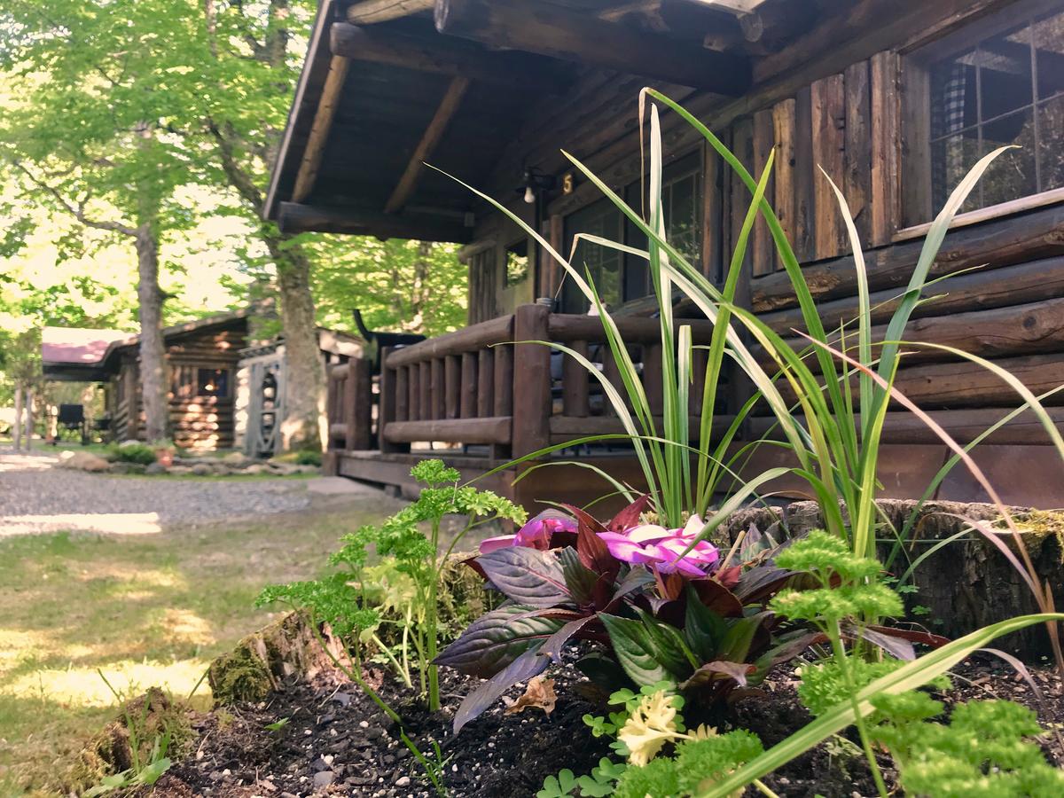 Rustic Log Cabins - thumb 3