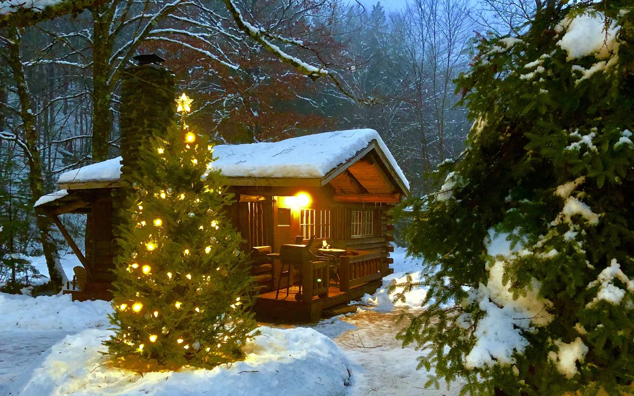 Rustic Log Cabins - thumb 10