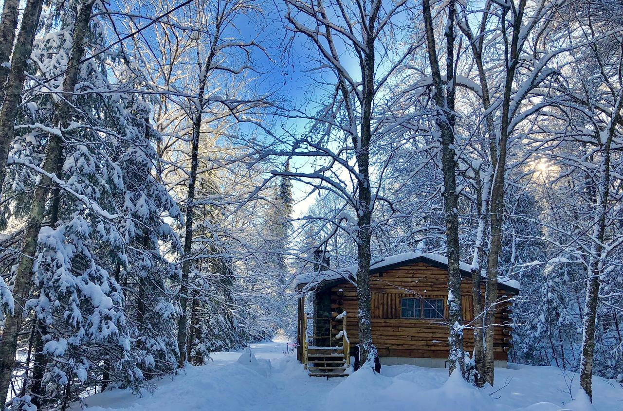 Rustic Log Cabins - thumb 33