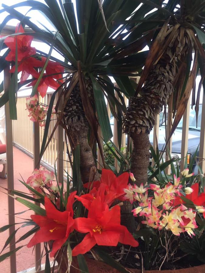 Waikiki Oceanfront Inn - thumb 17