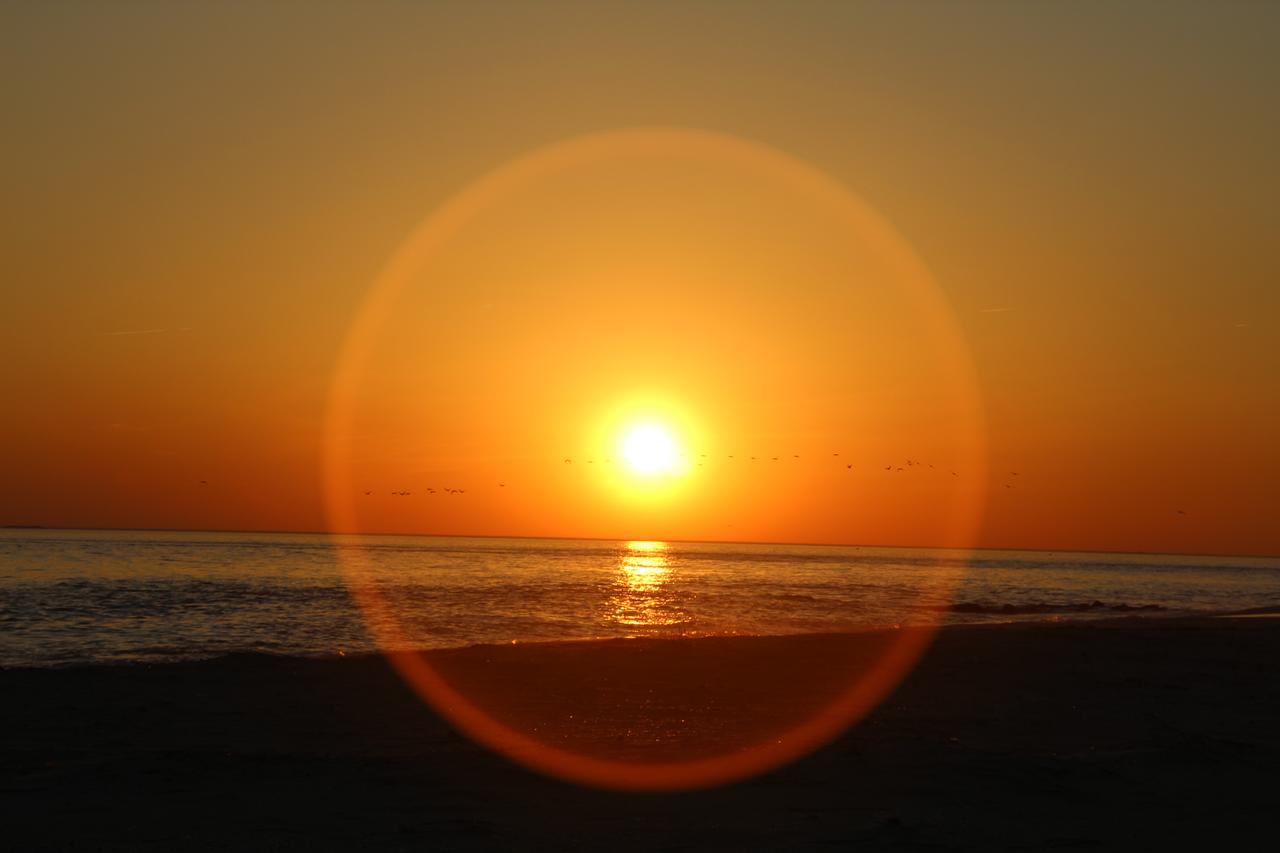 Beach Colony Motel - thumb 41