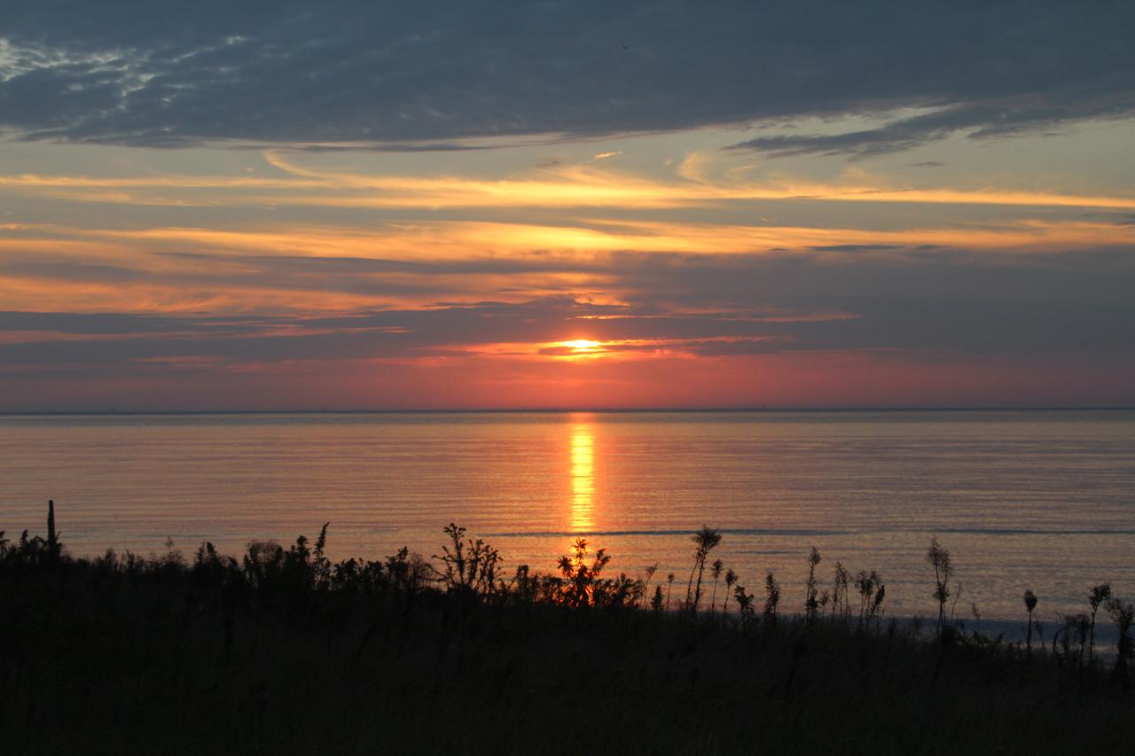 Beach Colony Motel - thumb 42