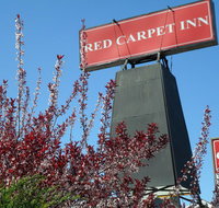Red Carpet Inn Brooklawn - Accommodation Los Angeles