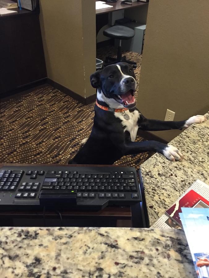 Presidential Inn & Suites - thumb 9