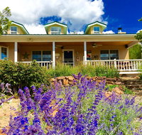 Brinkley House at Sunny Mellow Eco Villa - Accommodation Los Angeles