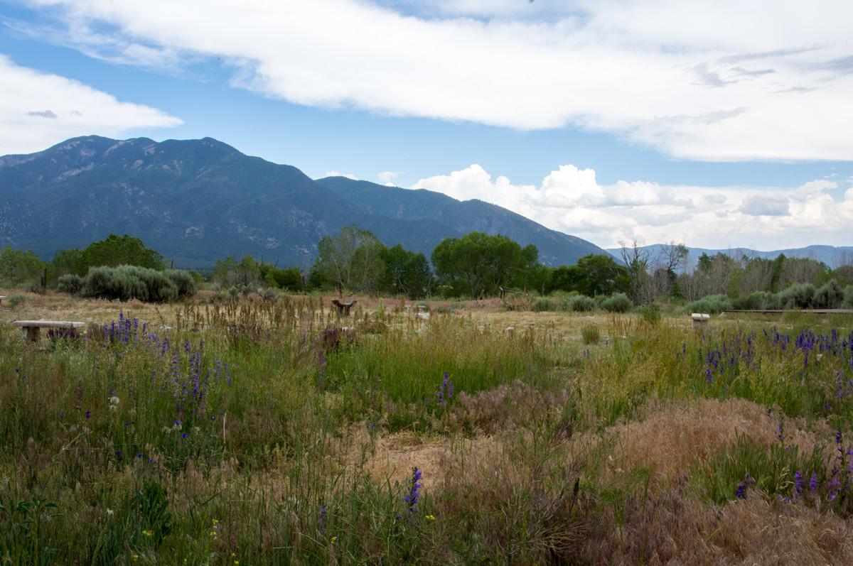 Arroyo Seco Studio - thumb 7