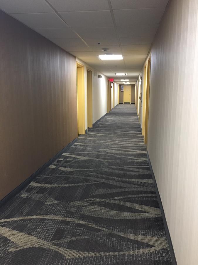 Floral Park Motor Lodge - thumb 23