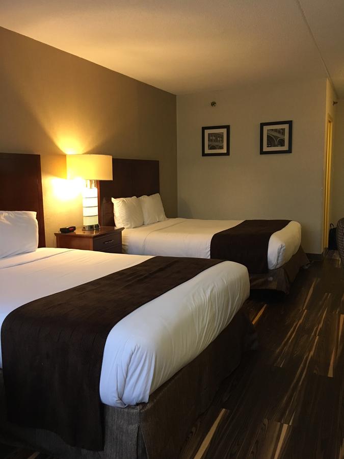 Floral Park Motor Lodge - thumb 15