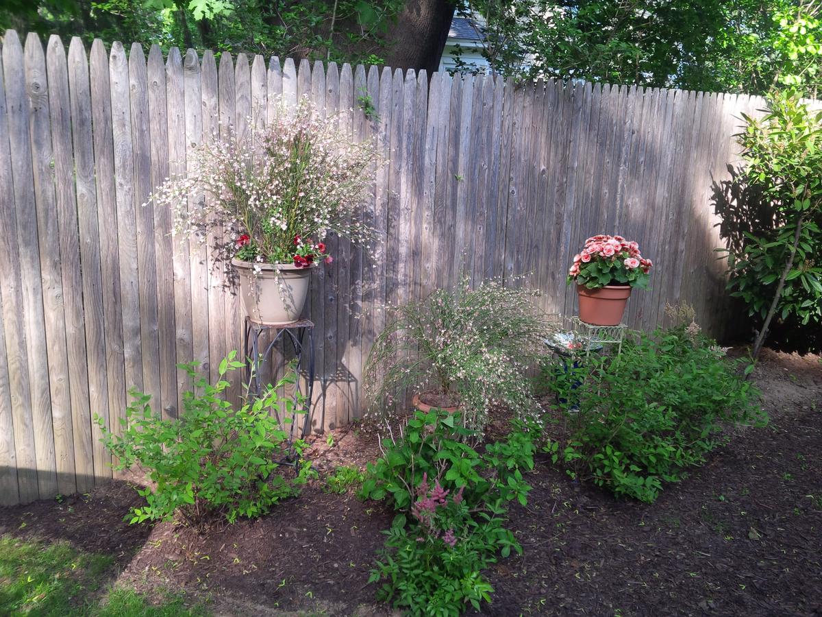 Sweet Dreams Bed And Breakfast Cutchogue - thumb 18