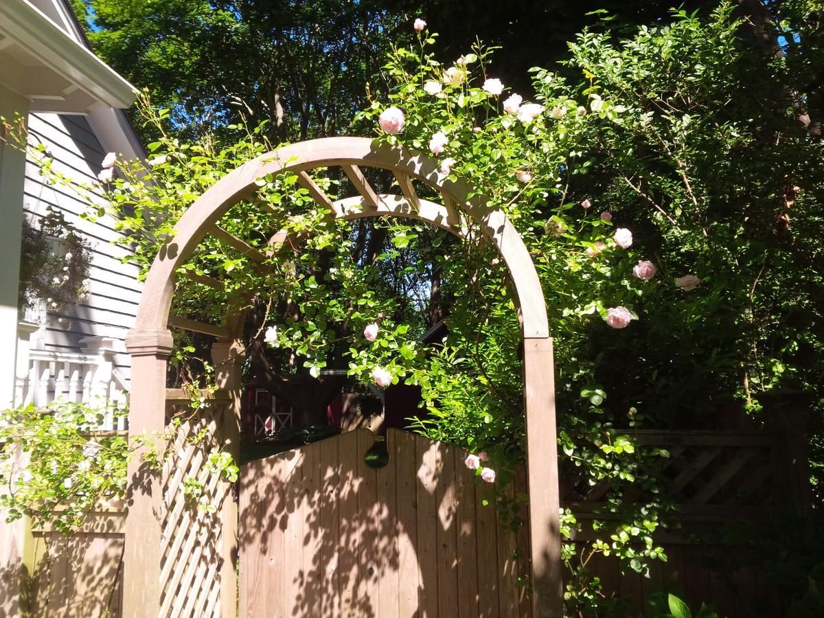 Sweet Dreams Bed And Breakfast Cutchogue - thumb 20