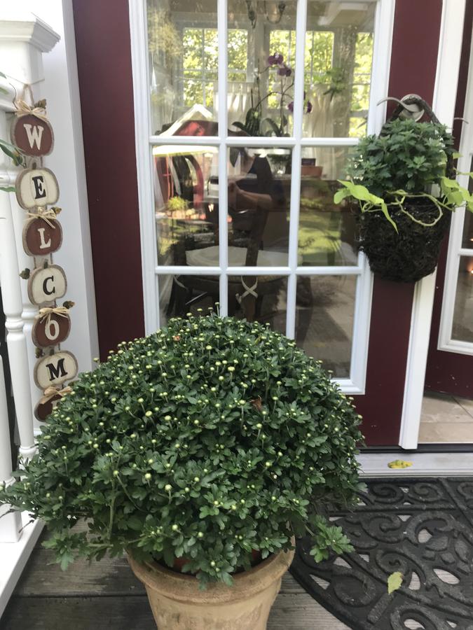 Sweet Dreams Bed And Breakfast Cutchogue - thumb 10