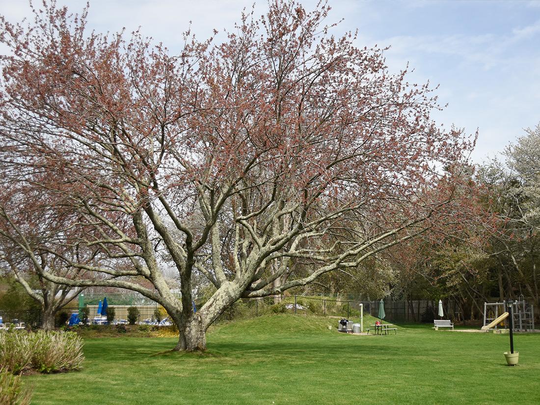 East Hampton House Resort - thumb 44