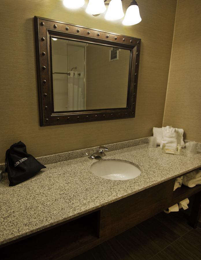 Holiday Inn Buffalo International Airport - thumb 5