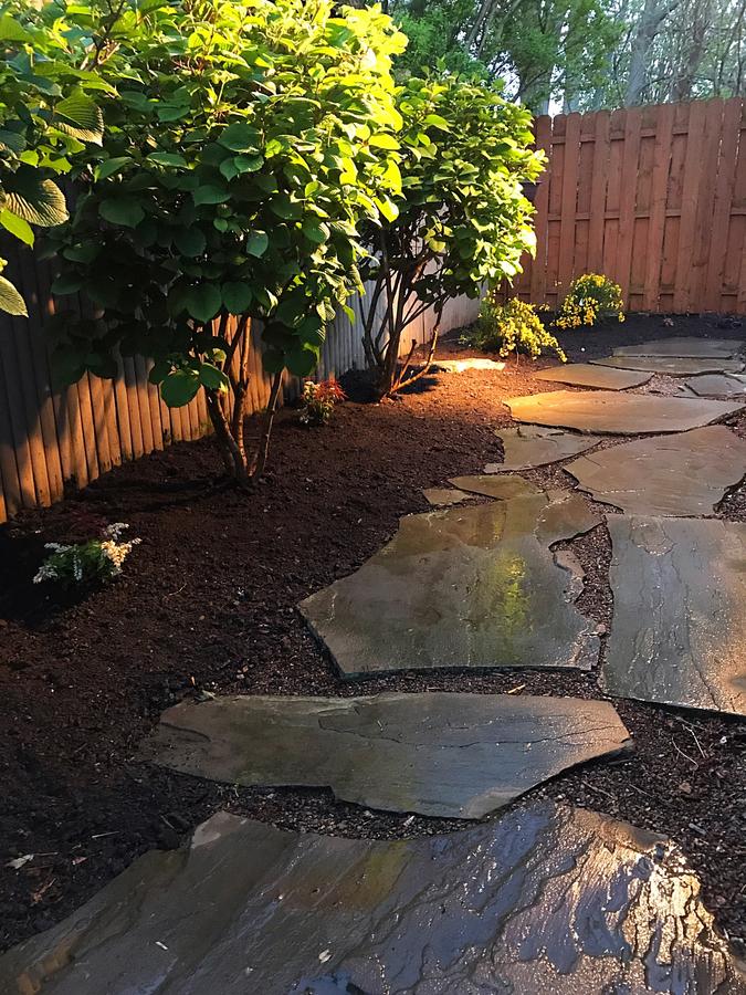Smart Home In Downtown Buffalo! - thumb 7