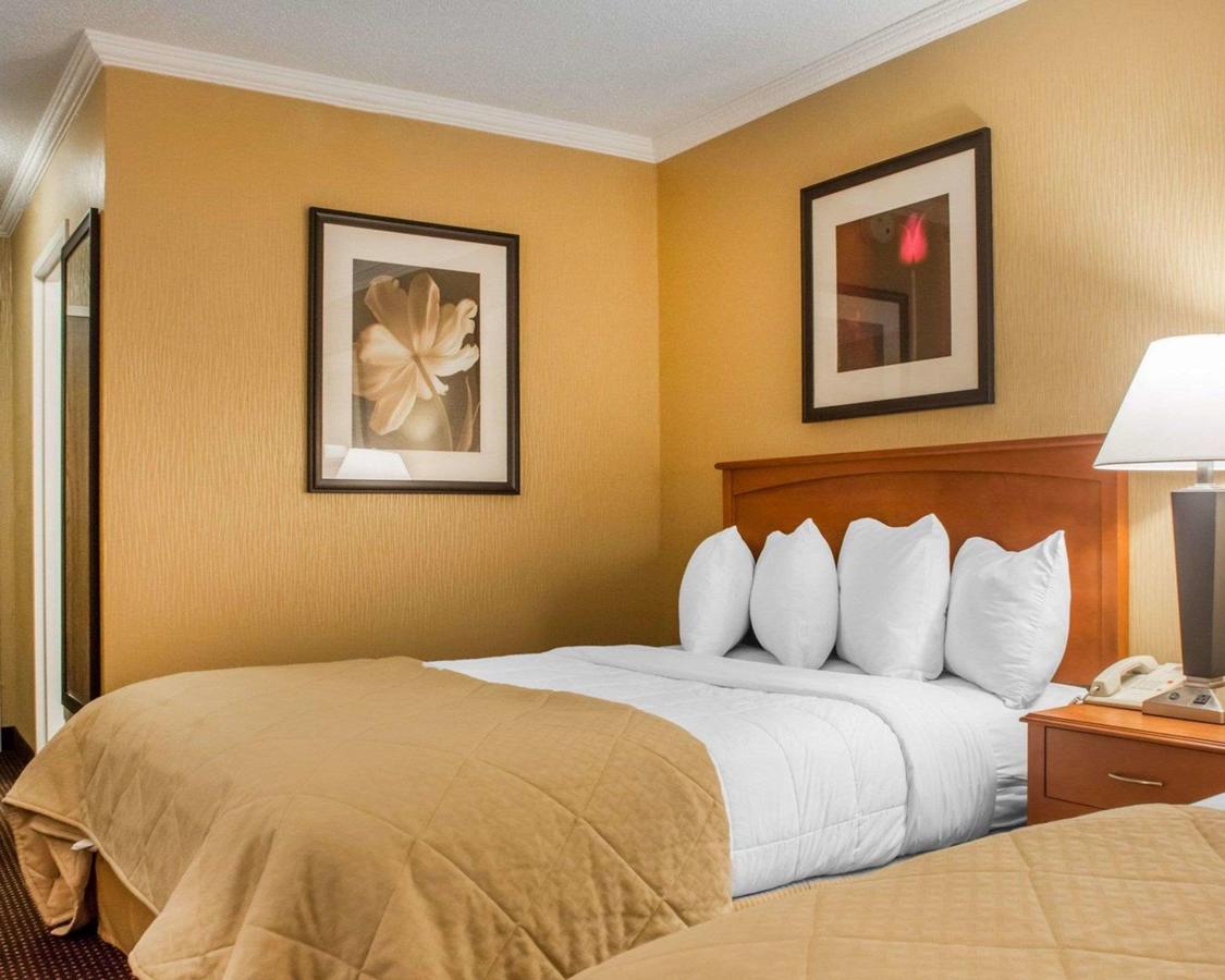 Quality Inn & Suites Riverfront Oswego - thumb 8