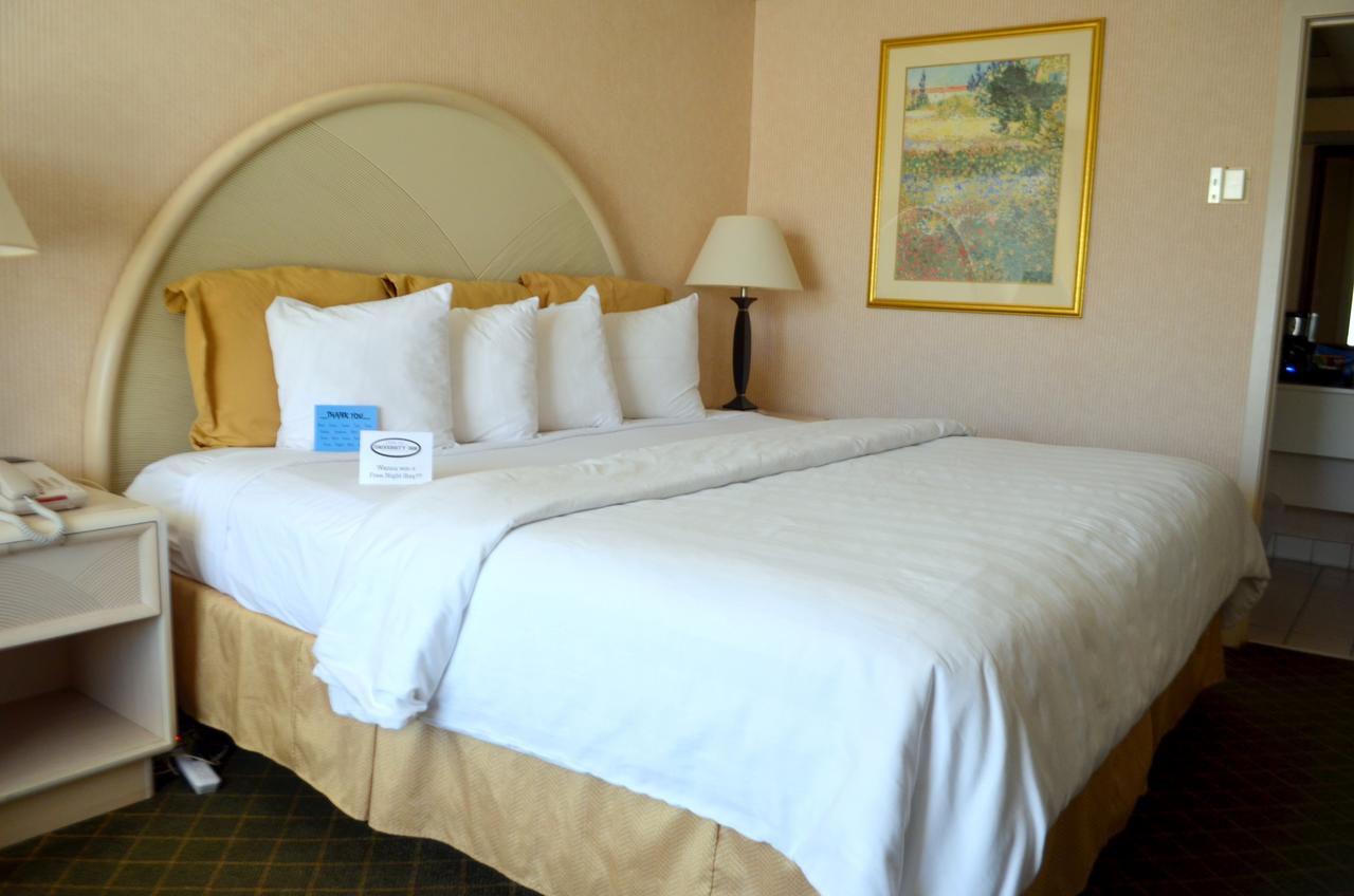 Chapel Hill University Inn - thumb 15