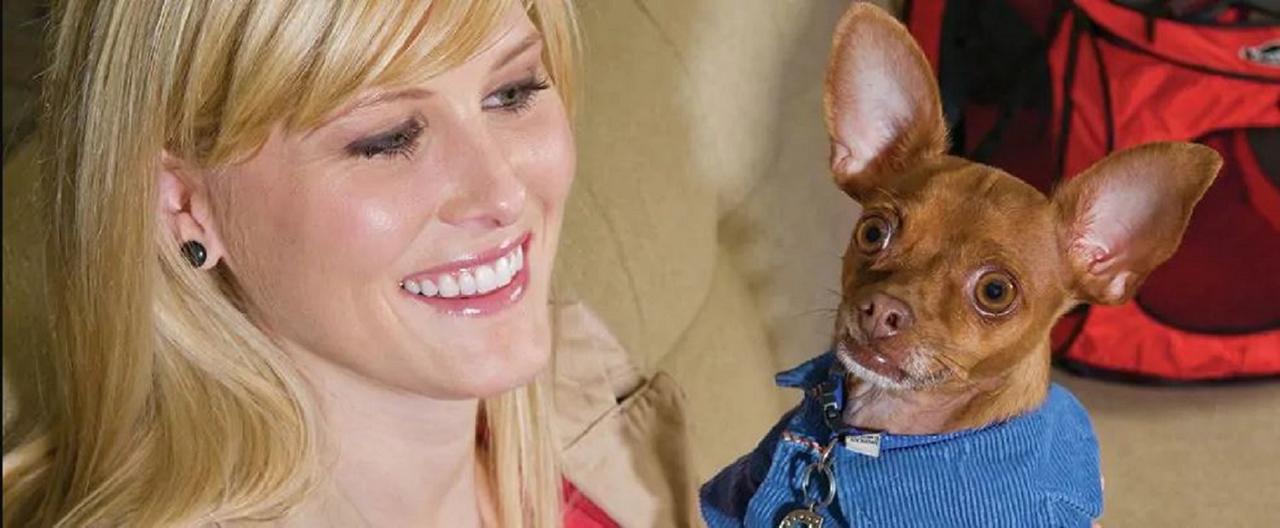 Home2 Suites By Hilton Charlotte Uptown - thumb 2