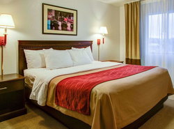 Quality Inn Florence