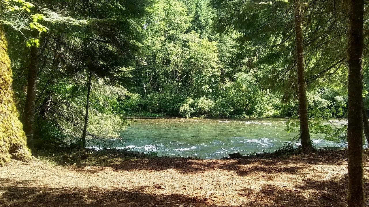 McKenzie Downhill - thumb 0