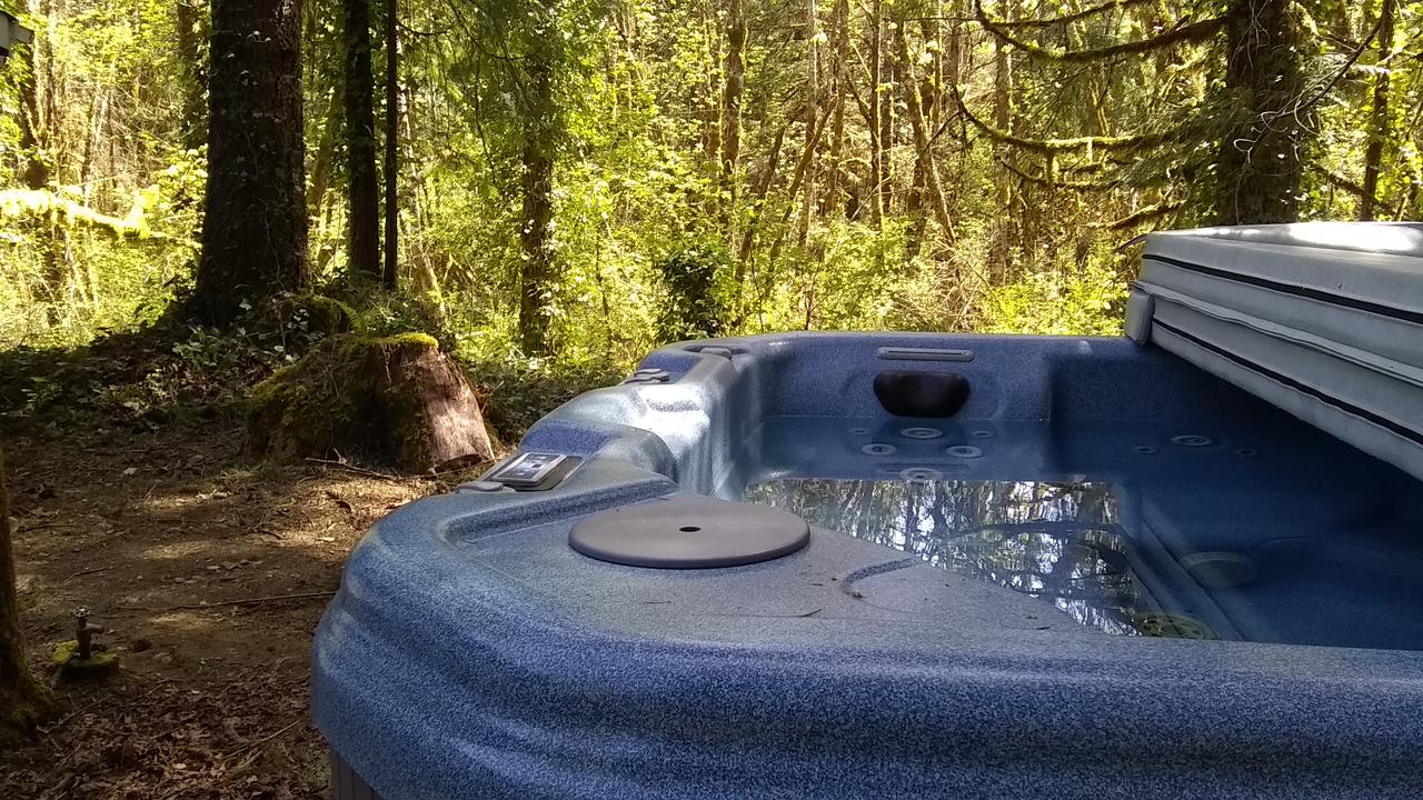 McKenzie Downhill - thumb 33