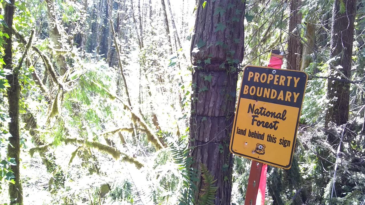 McKenzie Downhill - thumb 17