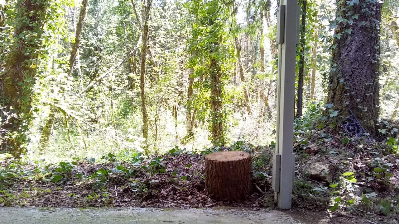 McKenzie Downhill - thumb 6