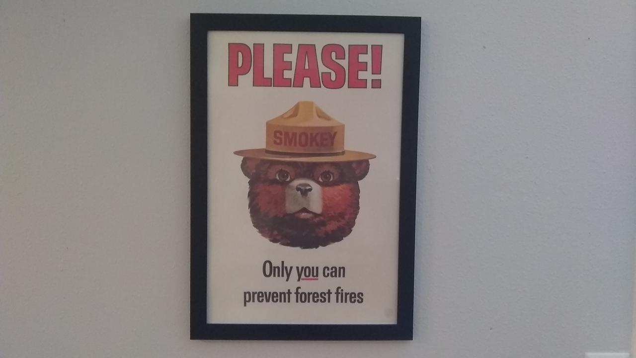 McKenzie Downhill - thumb 7