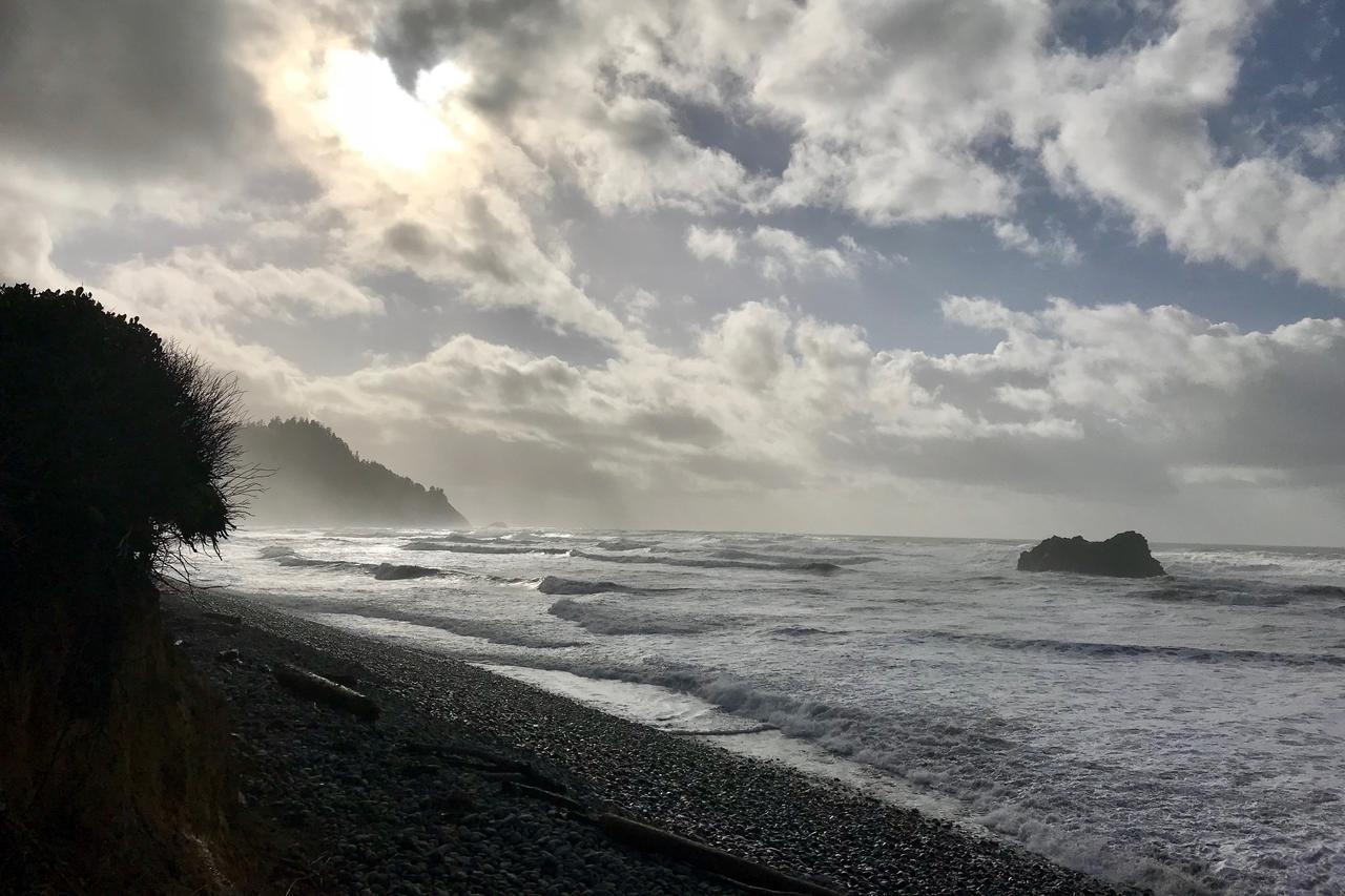 78986 Cove Beach Rd Home - thumb 6