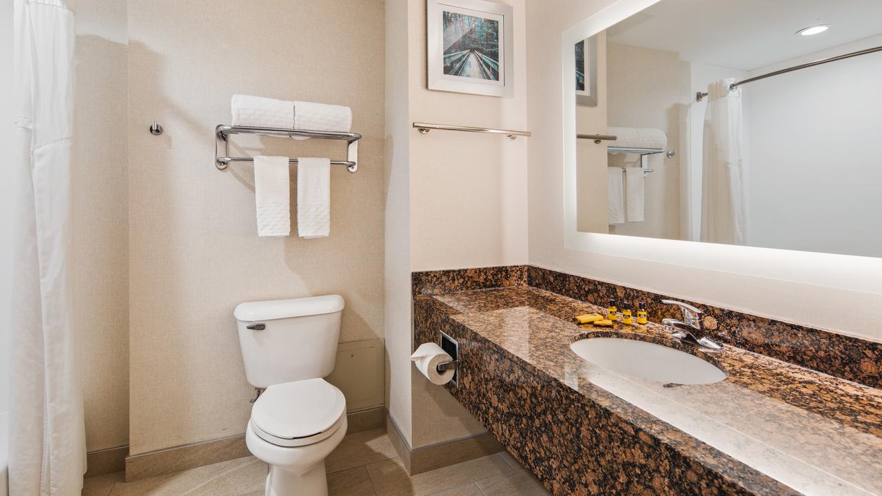 Best Western Plus Wilkes Barre-Scranton Airport Hotel - thumb 12