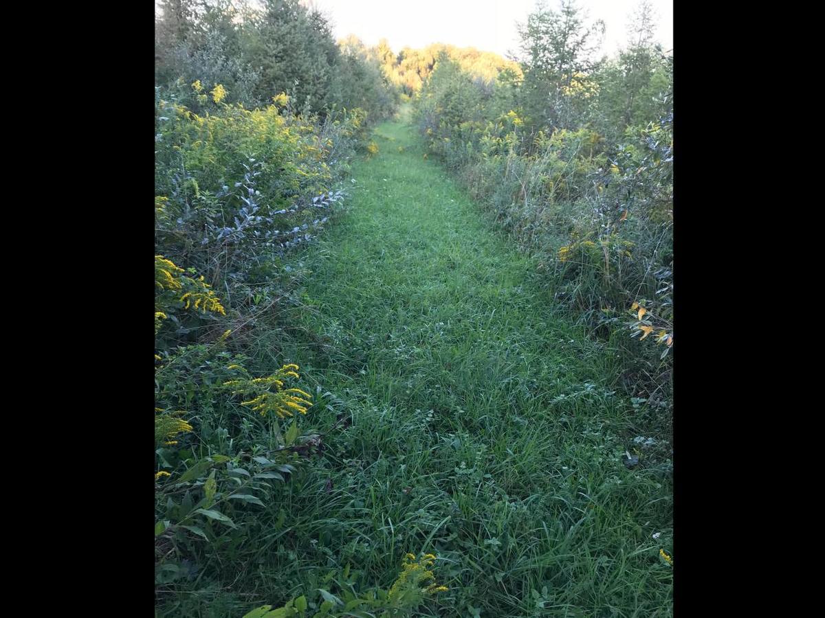 Tentrr - Lucky Hill - thumb 10