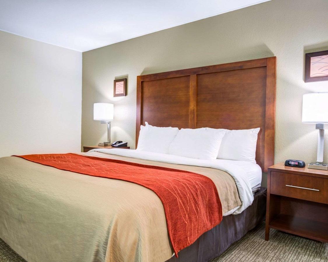 Comfort Inn Clemson - University Area - thumb 9