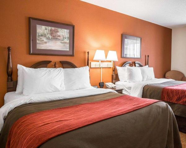 Comfort Inn & Suites At I-85 - thumb 28