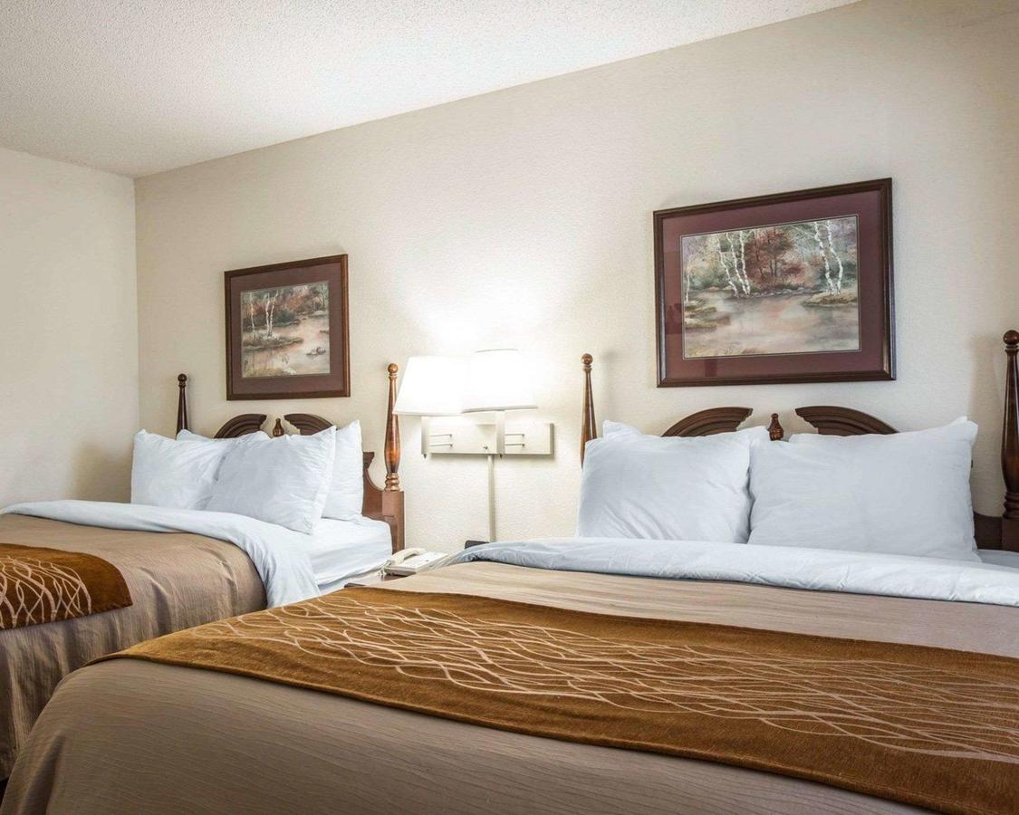 Comfort Inn & Suites At I-85 - thumb 7