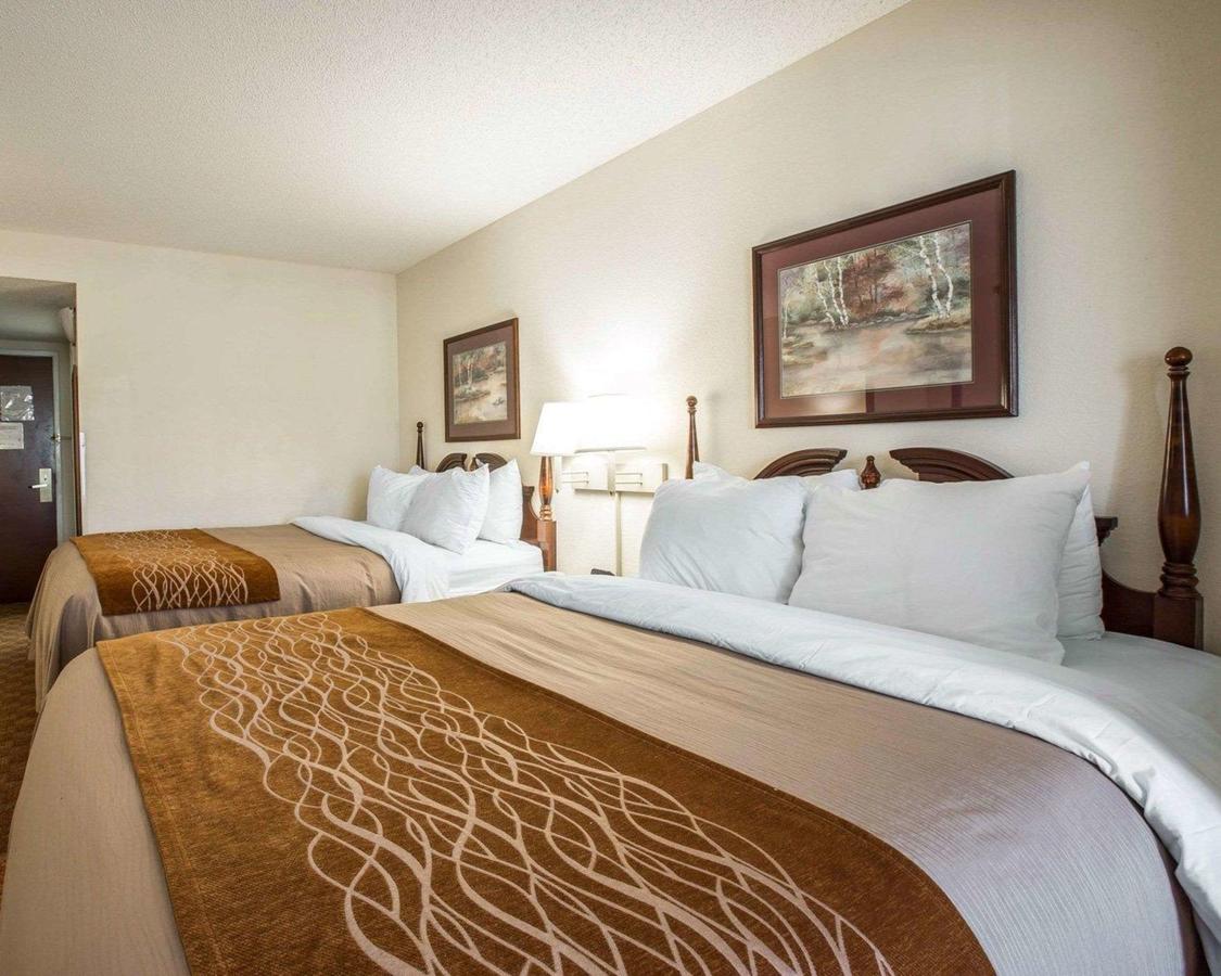 Comfort Inn & Suites At I-85 - thumb 1