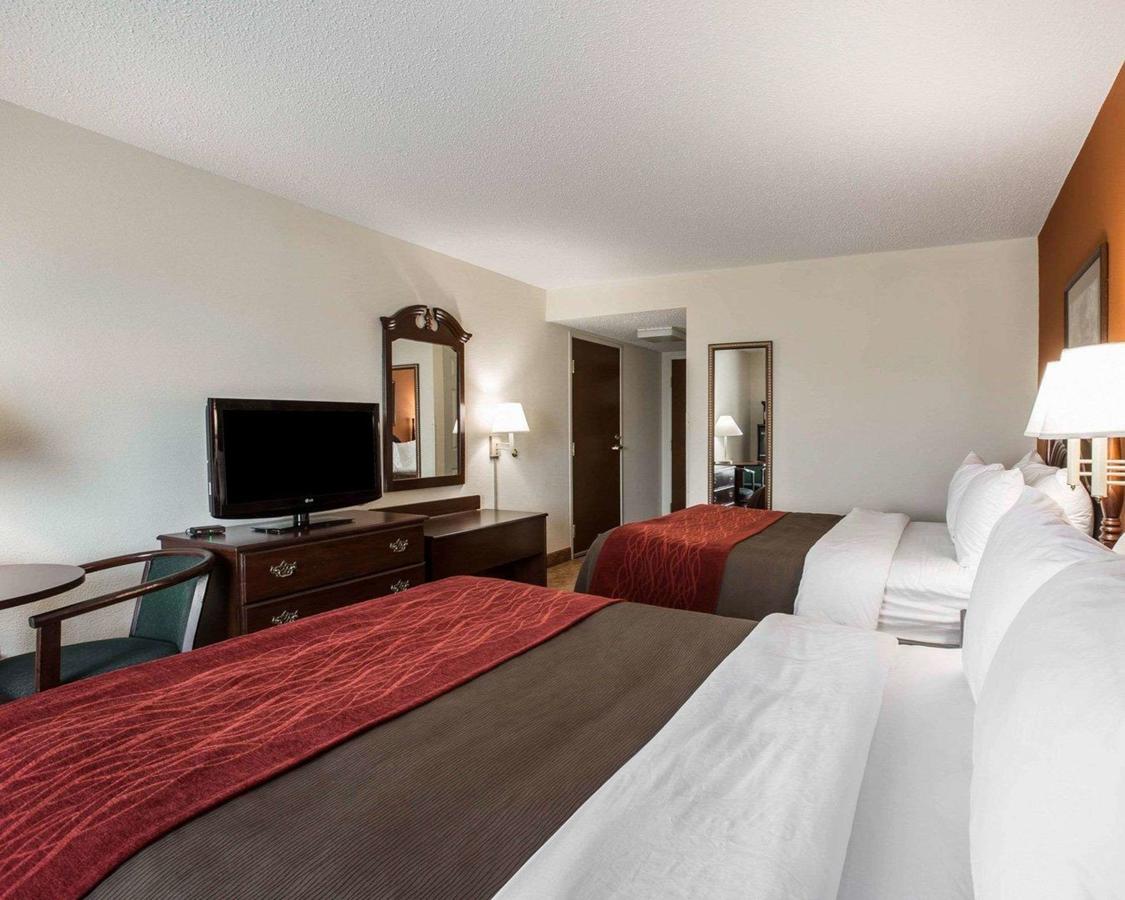 Comfort Inn & Suites At I-85 - thumb 13