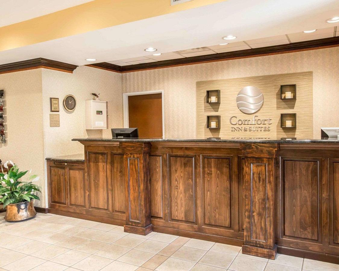 Comfort Inn & Suites At I-85 - thumb 25