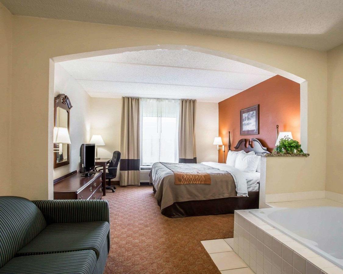 Comfort Inn & Suites At I-85 - thumb 22