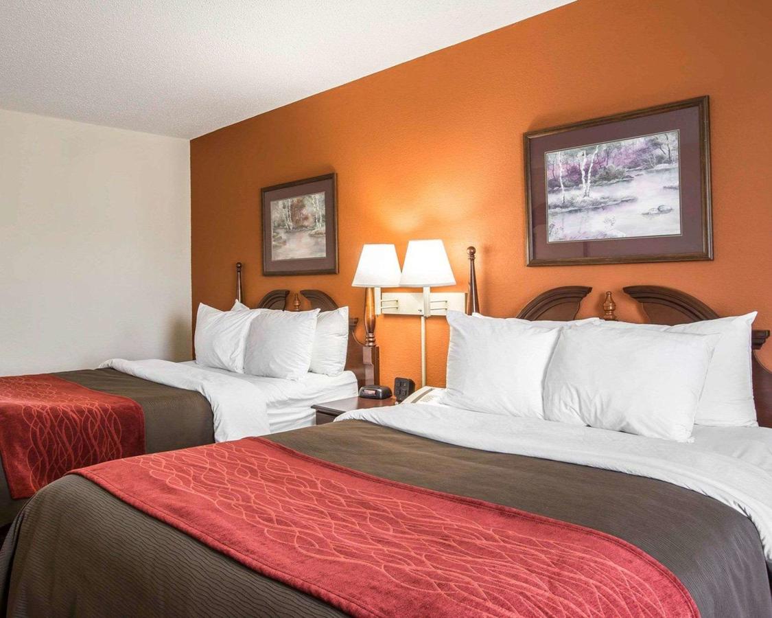 Comfort Inn & Suites At I-85 - thumb 19