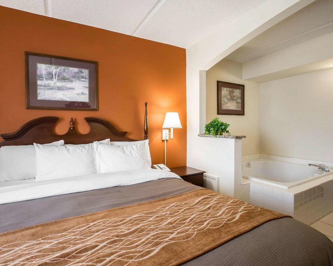 Comfort Inn & Suites At I-85 - thumb 4